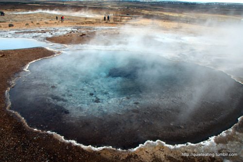 Geysers, waterfalls, craters and fine Icelandic cuisine
